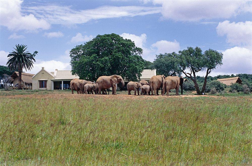 Gorah Elephant Camp Addo Exterior photo