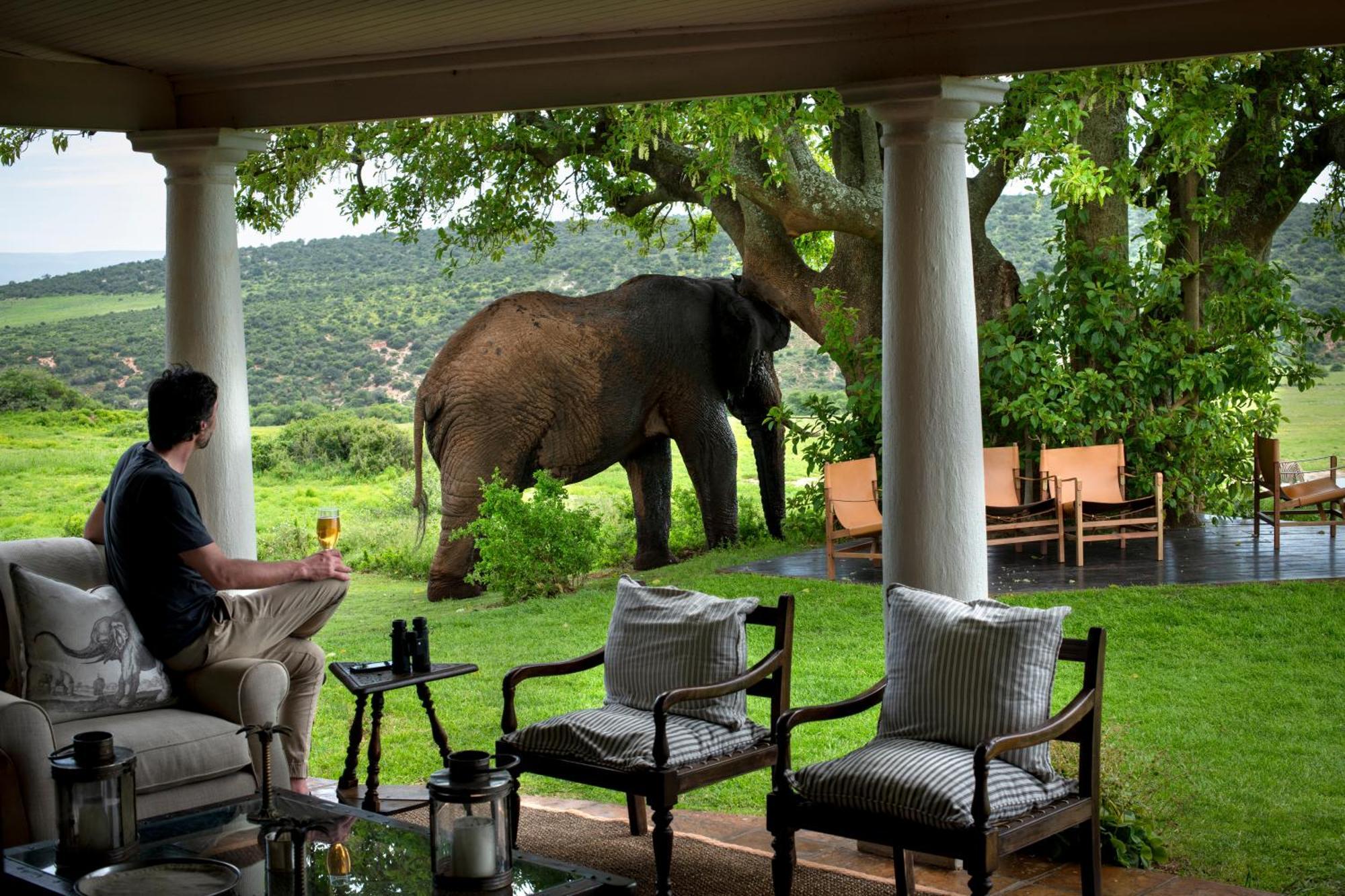 Gorah Elephant Camp Addo Exterior photo