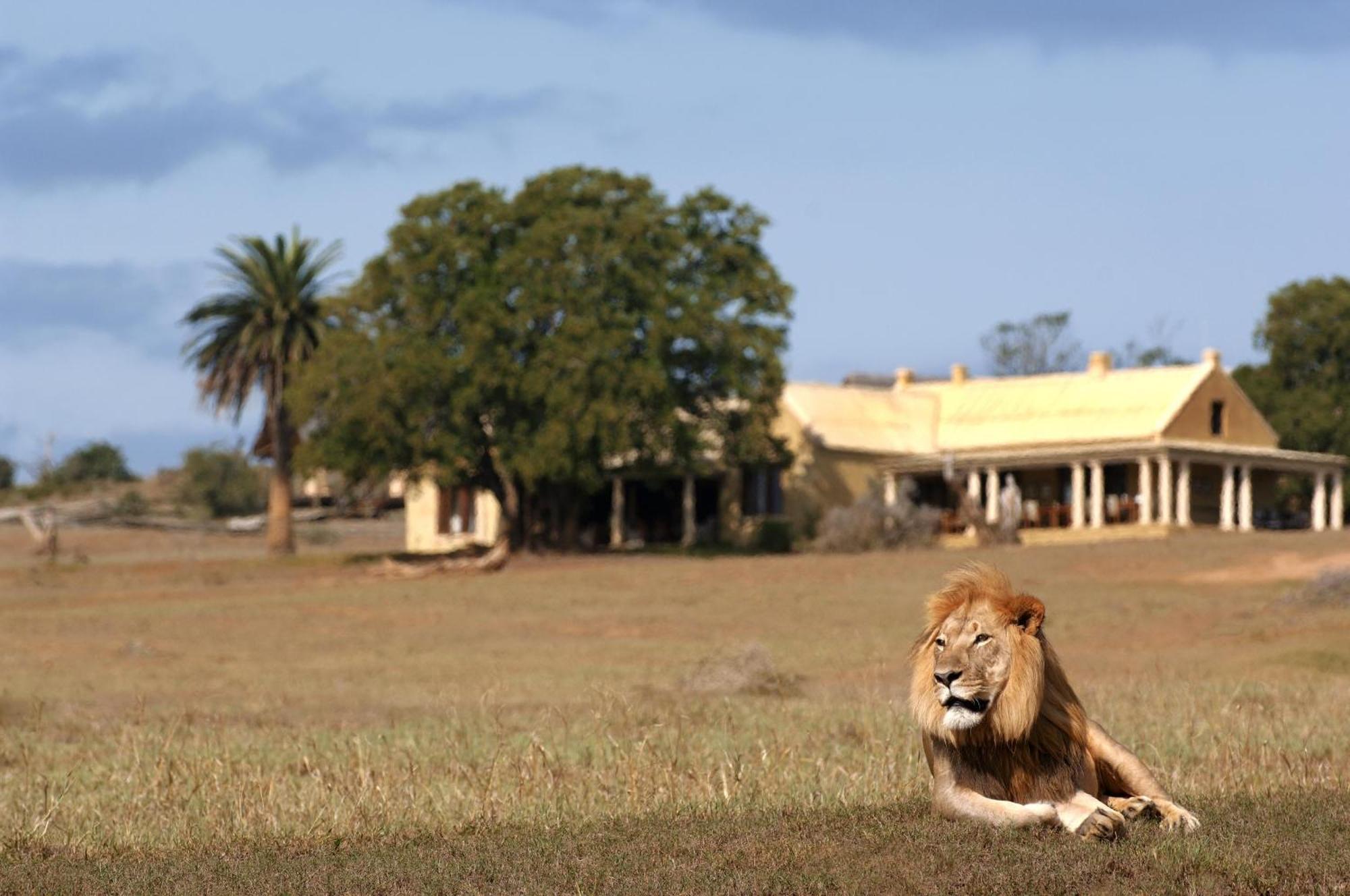 Gorah Elephant Camp Addo Exterior photo