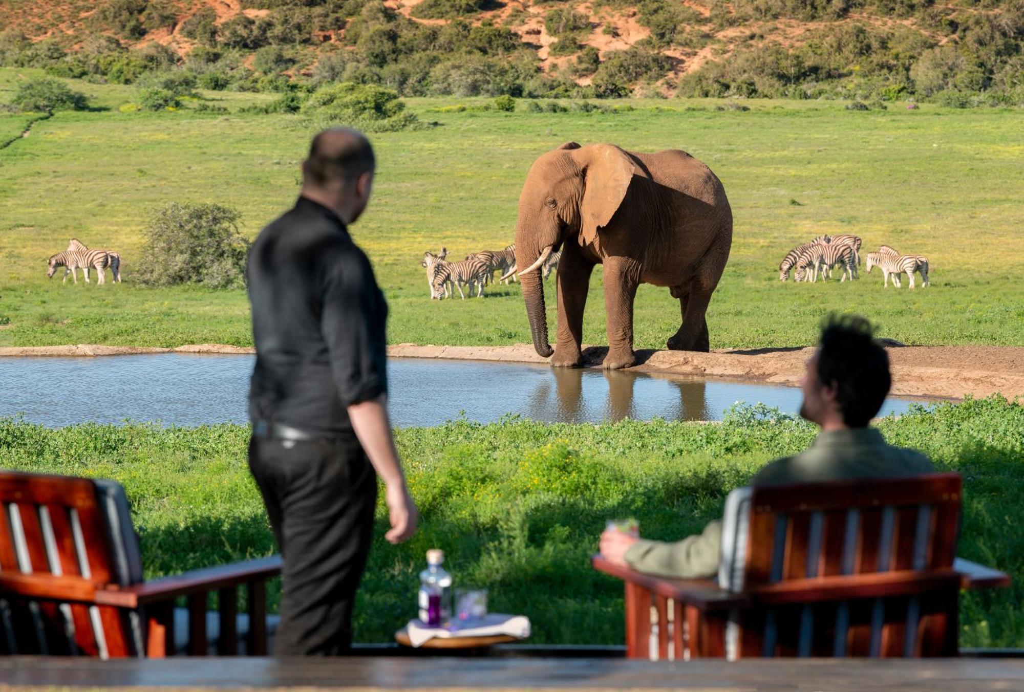 Gorah Elephant Camp Addo Exterior photo