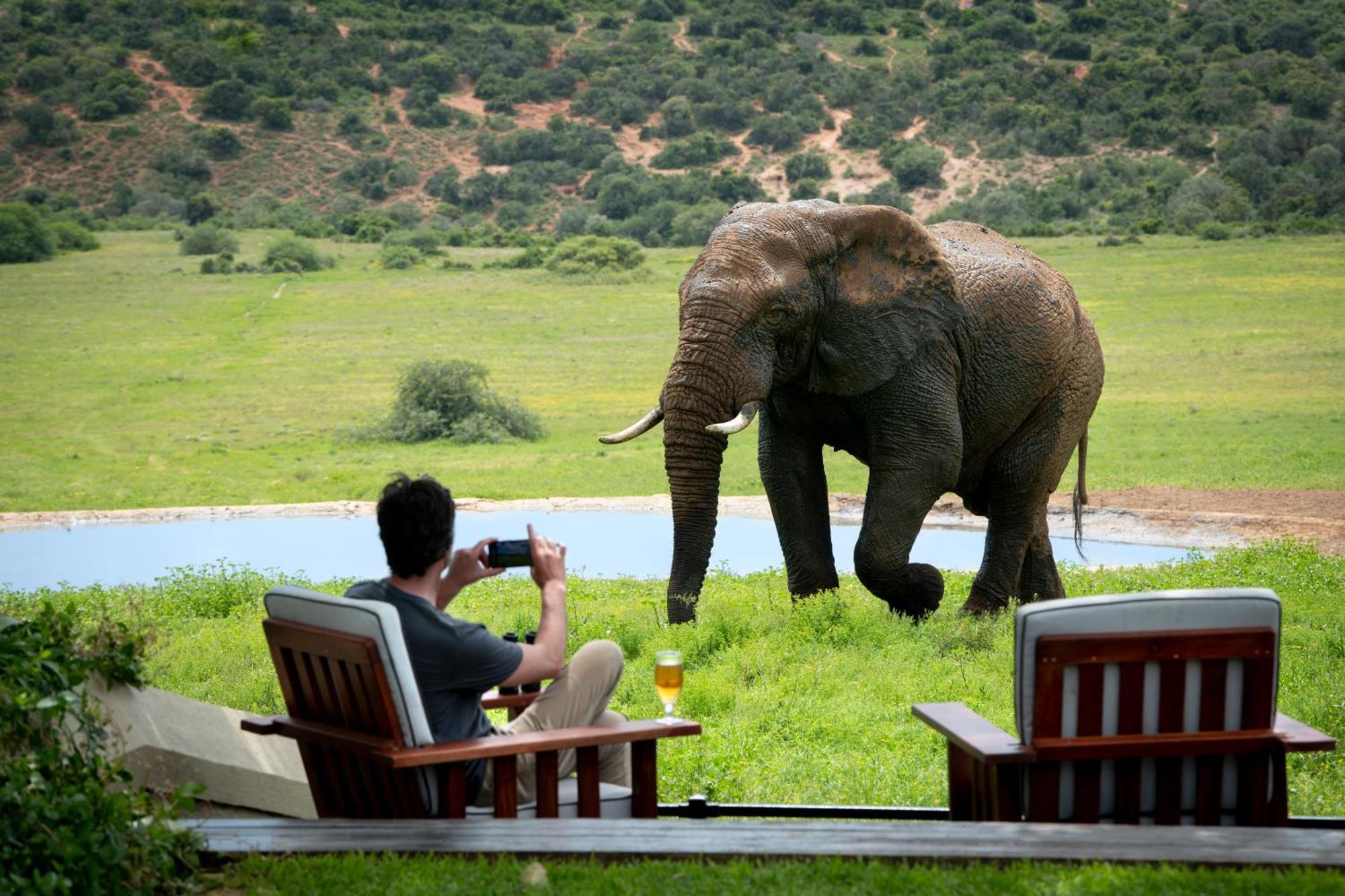 Gorah Elephant Camp Addo Exterior photo