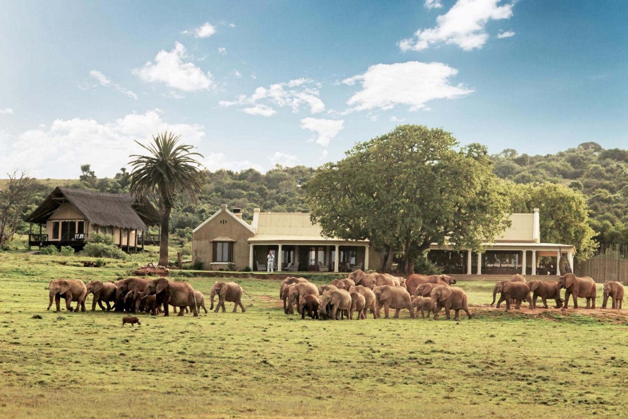 Gorah Elephant Camp Addo Exterior photo