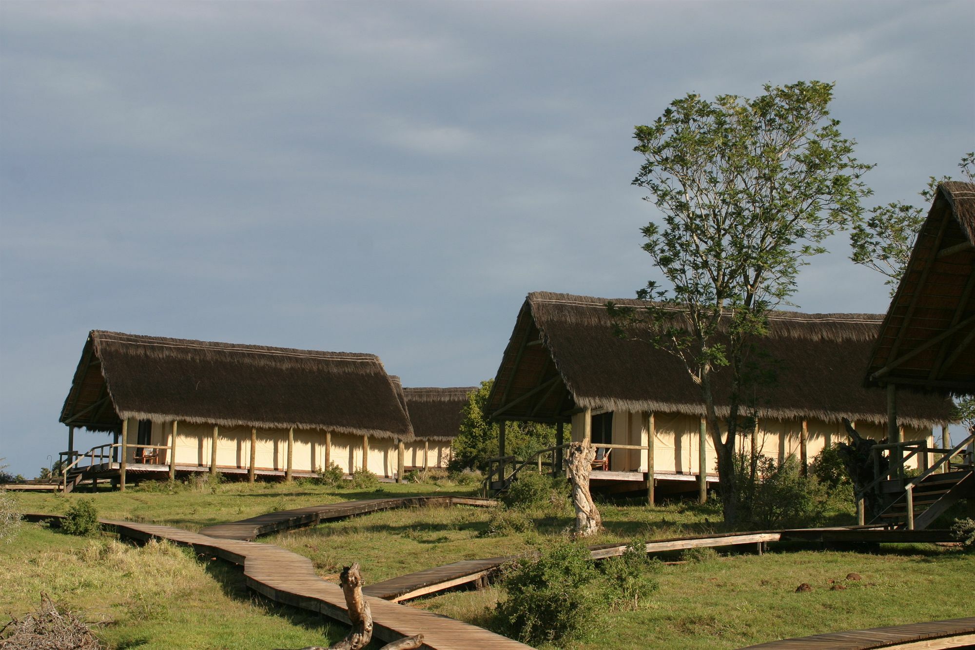 Gorah Elephant Camp Addo Exterior photo