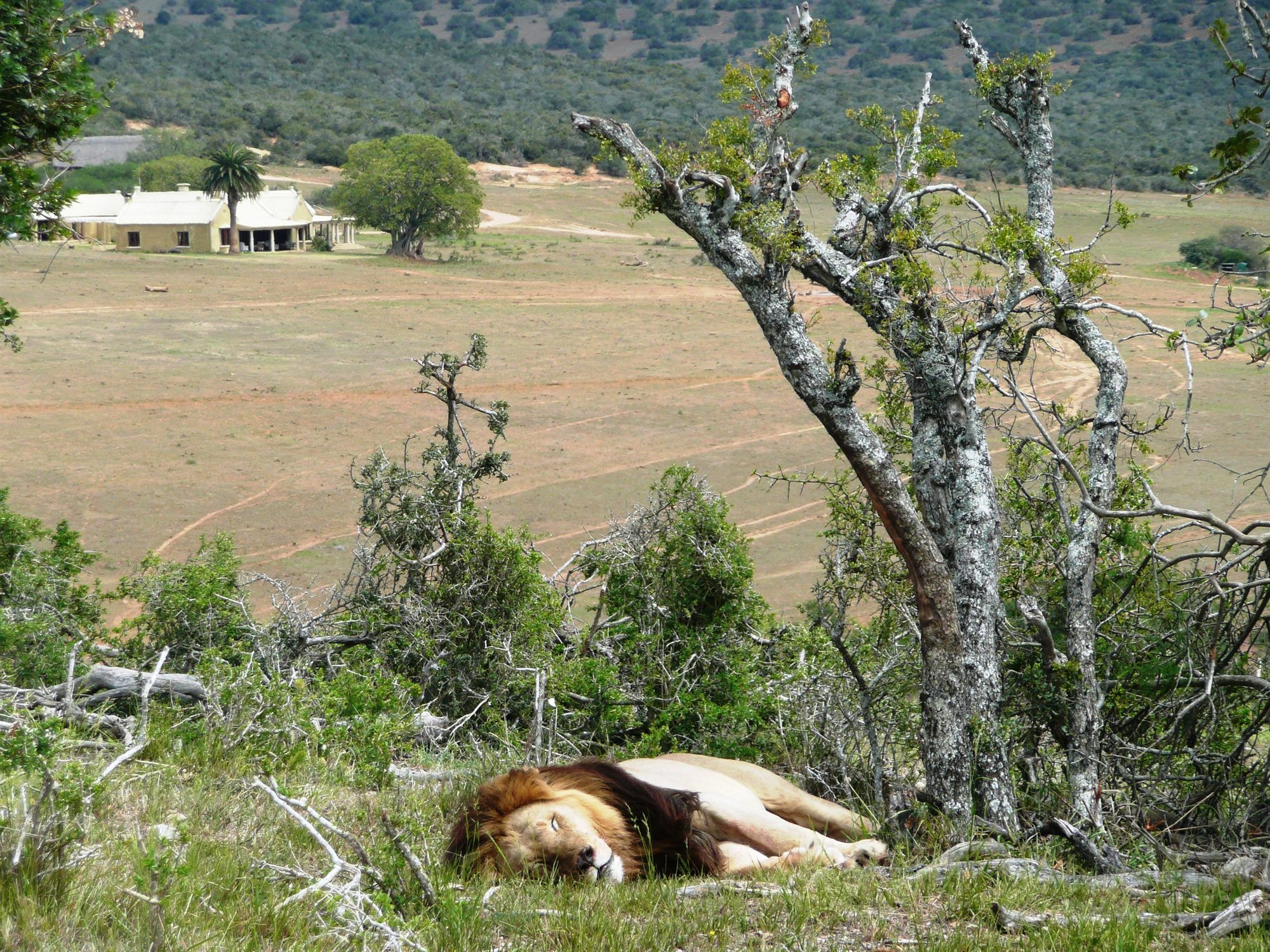 Gorah Elephant Camp Addo Exterior photo